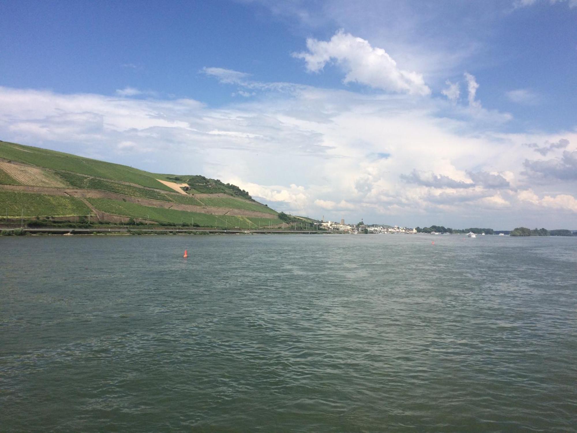 Haus Am Weinberg Apartman Rüdesheim am Rhein Kültér fotó